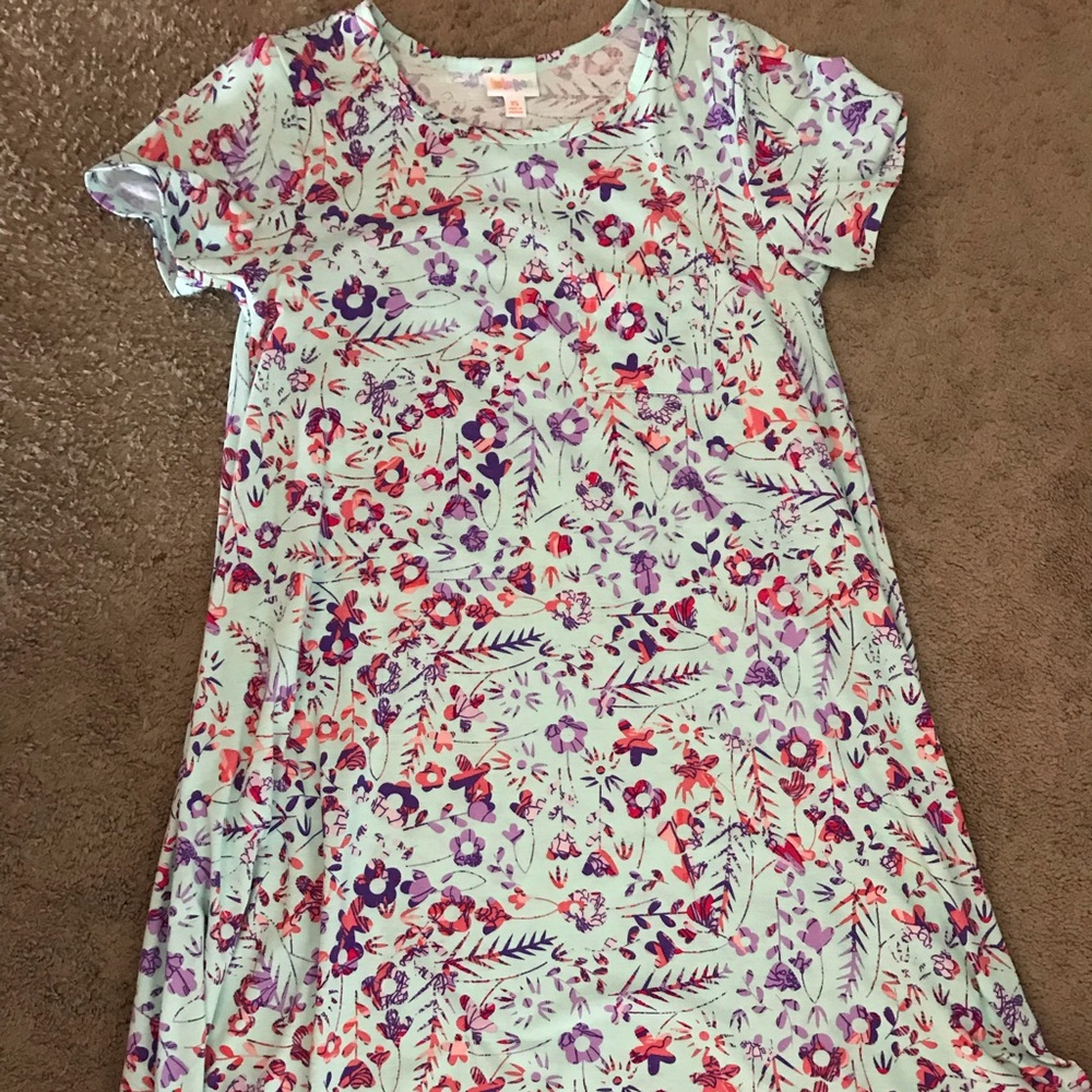 LuLaRoe Carly Dress